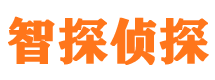 河口外遇调查取证